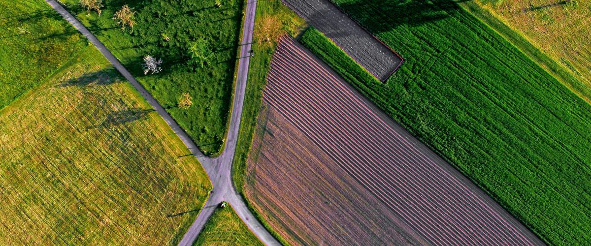 Luftbild von Feldern, Wegen, Bäumen